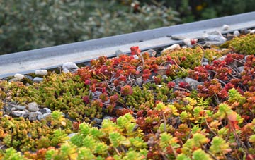 the cost of Chichester green roof installation