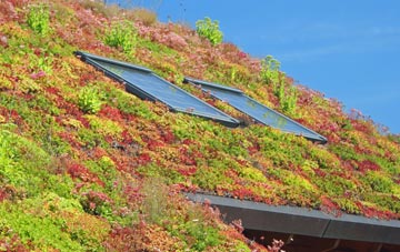 Chichester living roof systems