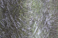 Chichester fibreglass roof work